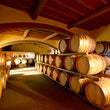 "La Bulichella and its wines" Tasting